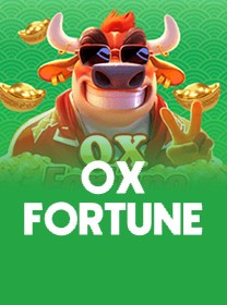 XX8 🎮 Vôlei Apostas — Sem Complicações